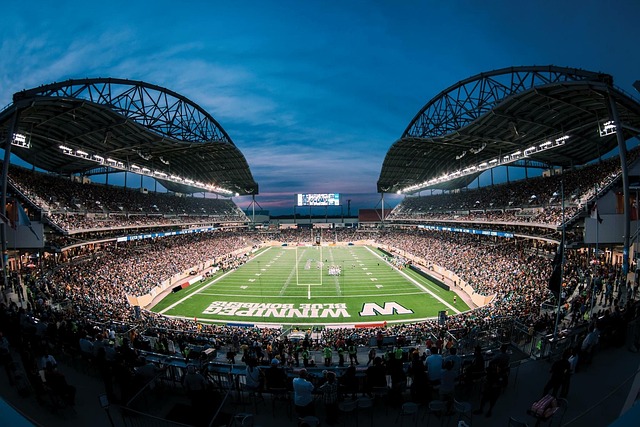 在体育领域 在体育领域