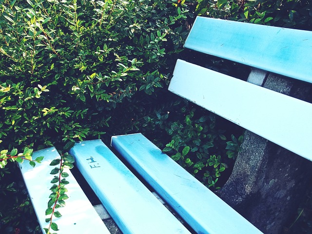 作的完美结 作的完美结