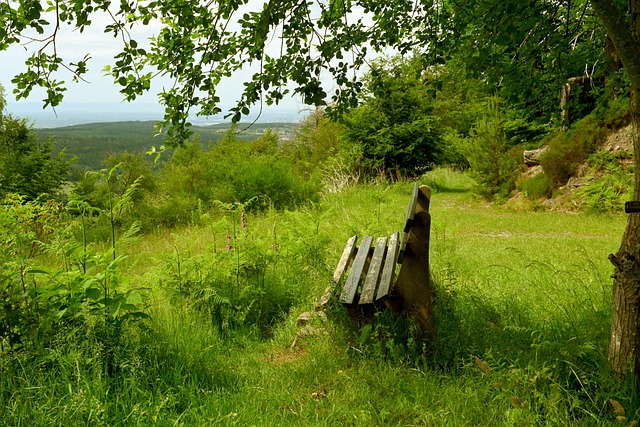 渐迈向更高 渐迈向更高