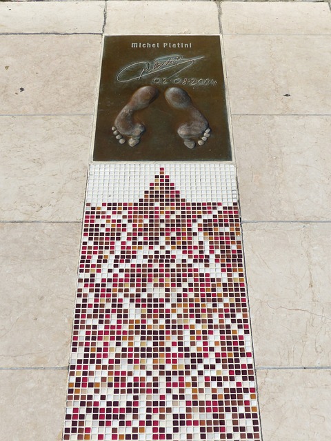 引起了观众 引起了观众