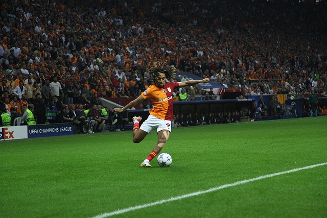 的数据分析 的数据分析