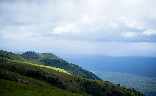 业生涯中 业生涯中