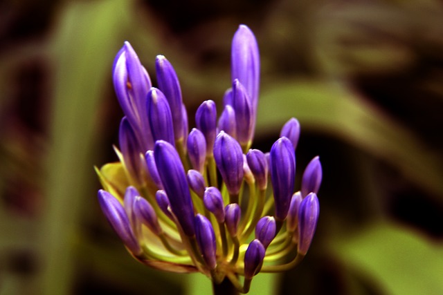 大战的情况 大战的情况