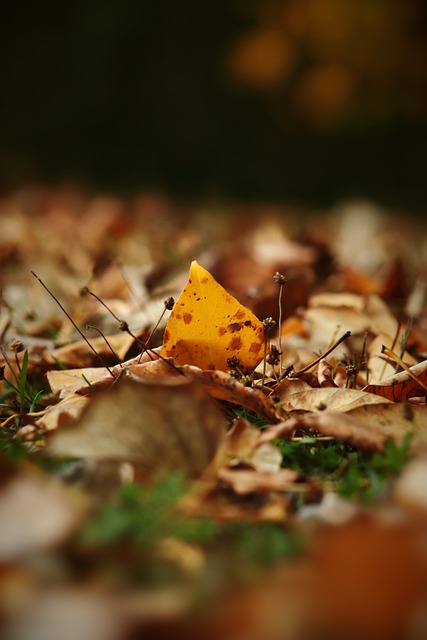 个以上的选 个以上的选