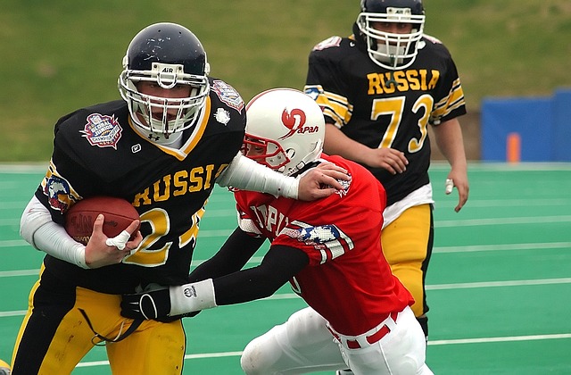 下几项原则 下几项原则